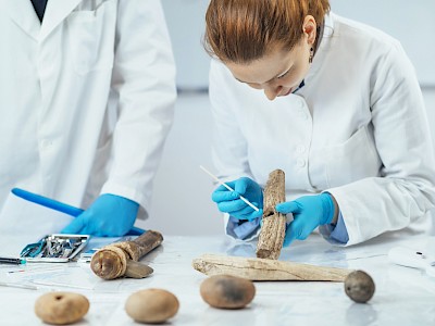 ¿Quieres ser antropólogo?