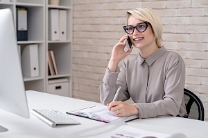 Director / Directora Ejecutivo
