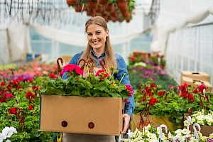 Florista