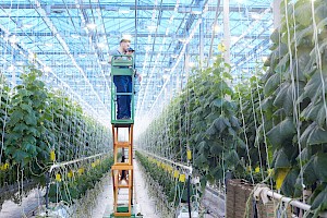 Mecánico / Mecánica Agrícola