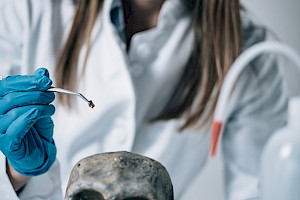 Psicólogo / Psicóloga Forense
