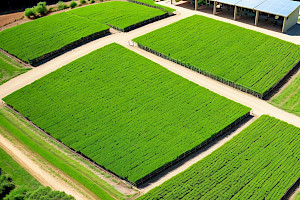 Introducción a las Ciencias Ambientales y su Importancia en el Desarrollo Sustentable