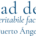Universidad del Mar