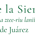Universidad de la Sierra Juárez
