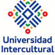 Universidad Intercultural de Jalisco
