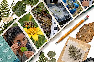 Qué estudiar si me gusta la naturaleza Qué estudiar si me gusta la naturaleza
