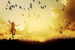 ¿Por qué estudiar derecho? ¿Por qué estudiar derecho?