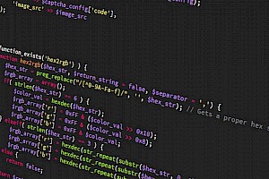 Analista Programador