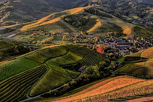 Administración Rural