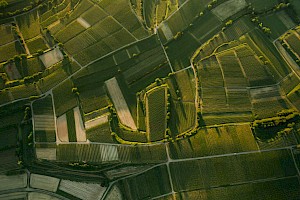 ¿Por qué estudiar Ingeniería en Agronomía? ¿Por qué estudiar Ingeniería en Agronomía?