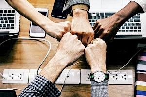 Ciencias Empresariales