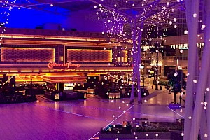 Organización de Eventos