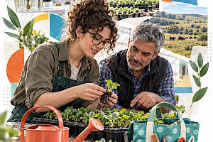 ¿Cómo funcionan las prácticas y pasantías en Uruguay?