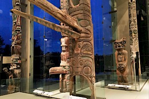 Antropólogo / Antropóloga