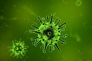 Bacteriólogo / Bacterióloga