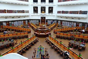 Bibliotecario / Bibliotecaria