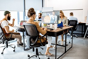 Diseñador / Diseñadora Web