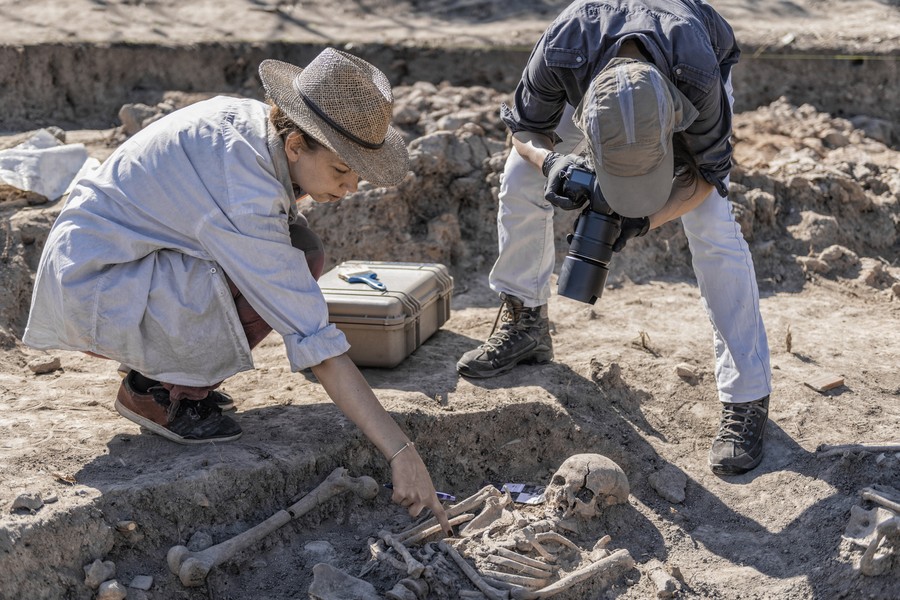 Arqueologos en equipo trabajando