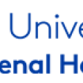 Universidad CEU Cardenal Herrera Universidad CEU Cardenal Herrera