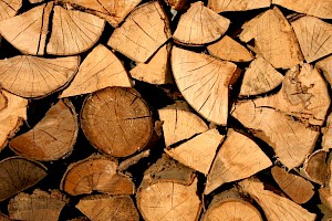 Ingeniería Forestal