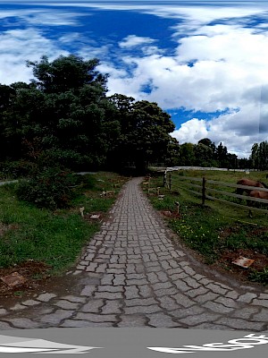 Universidad Austral de Chile