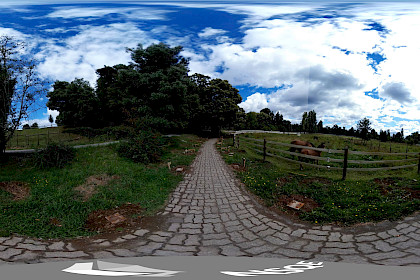 Universidad Austral de Chile